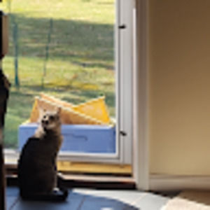 Meet your Posher, Alexandra